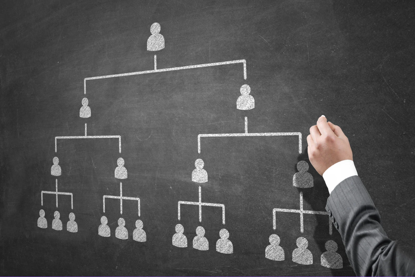 人事制度コンサルティング：等級制度・評価制度・報酬制度の設計